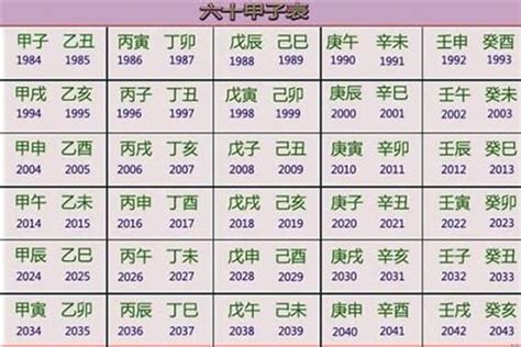 2023 五行年|2023年癸卯年是什么命，五行属什么？